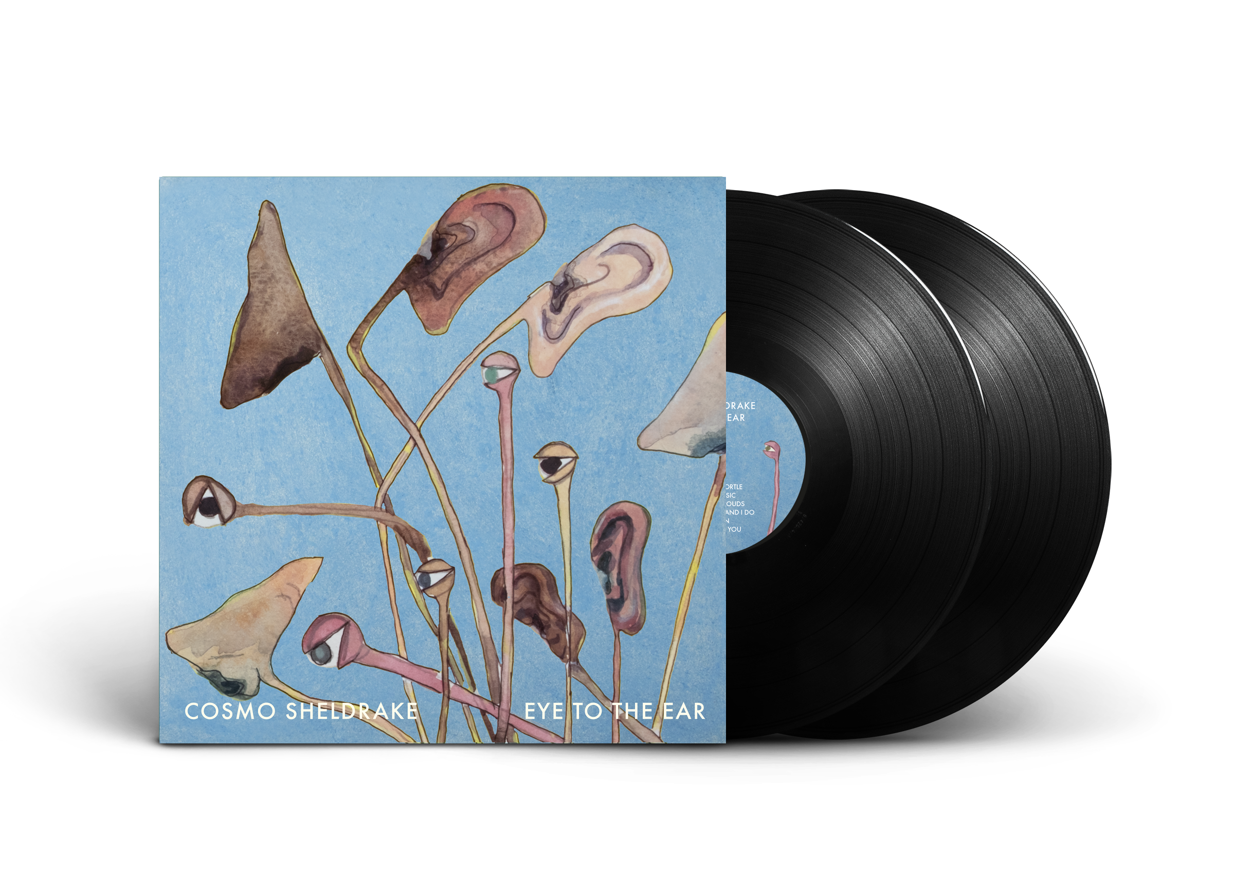 Eye To The Ear Vinyl – Cosmo Sheldrake